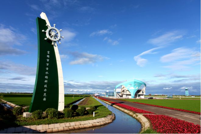 江阴最新新闻，拥抱自然，心灵宁静之旅启程